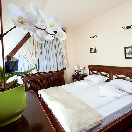 Hotel Brasovu' Vechi 4*